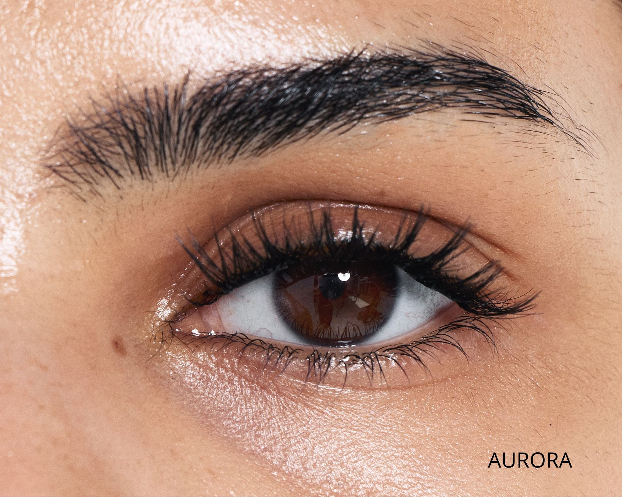 Dream Lash Starter Kit