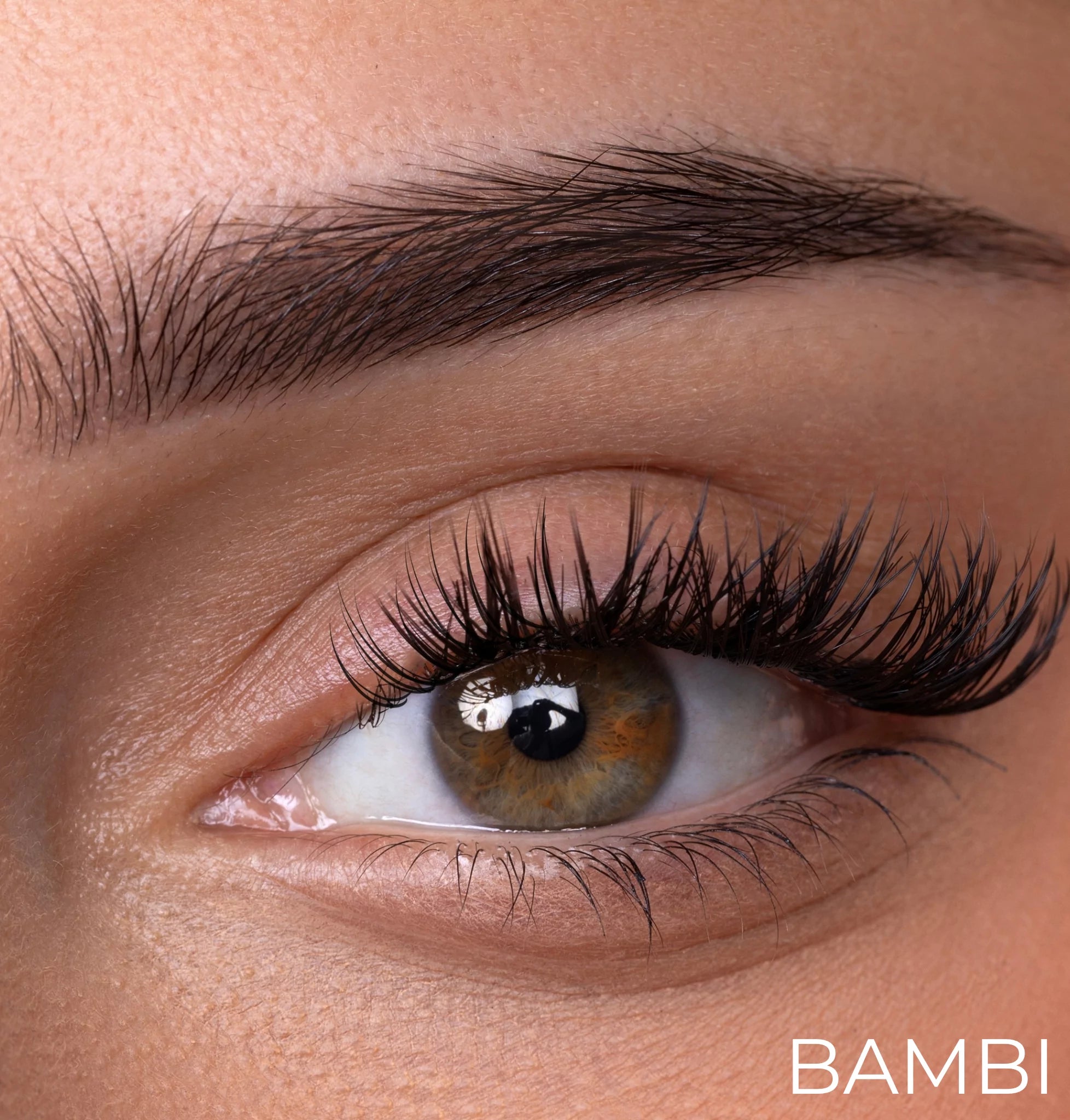 Dream Lash Starter Kit