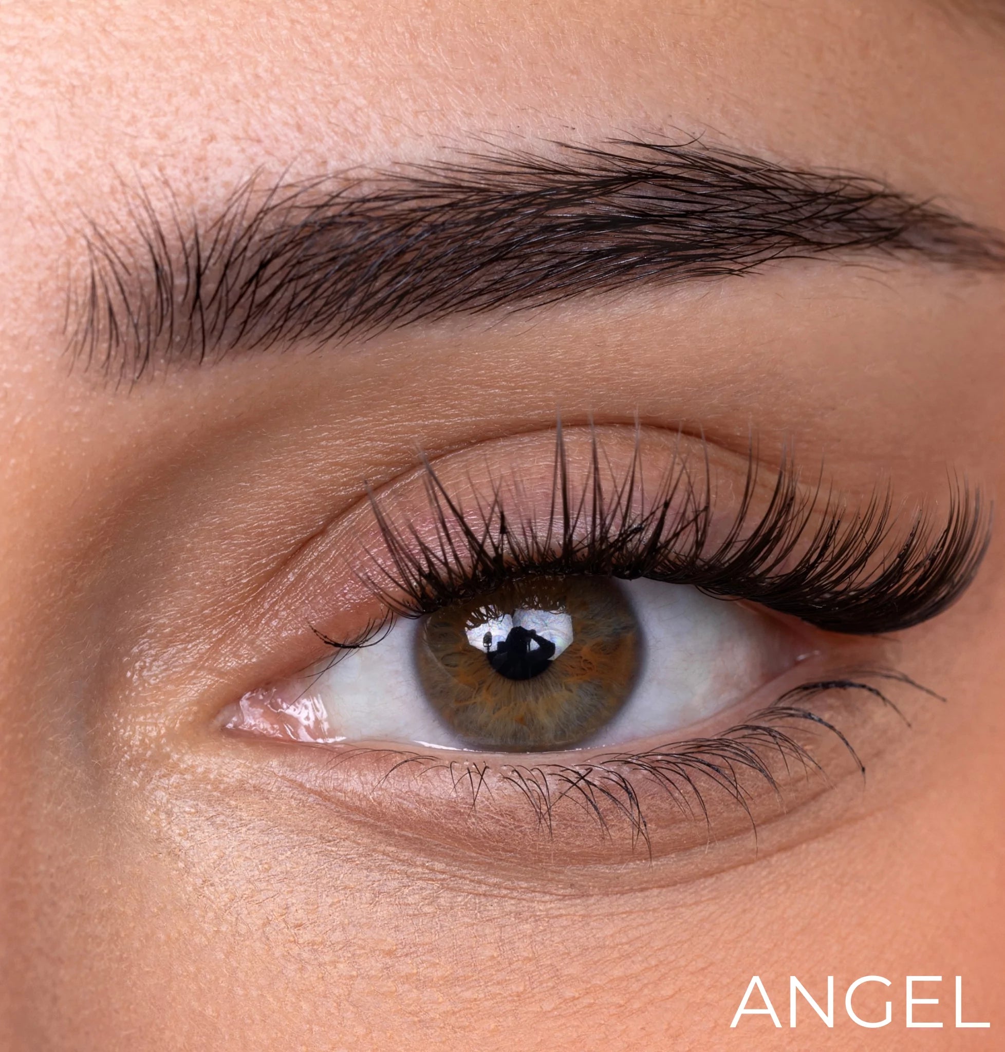 Dream Lash Cluster Starter Kit