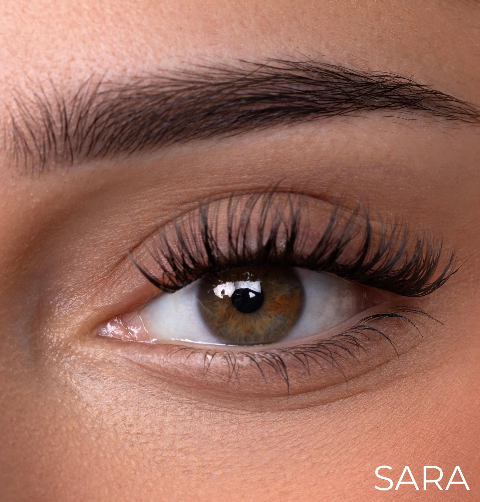 Dream Lash Starter Kit