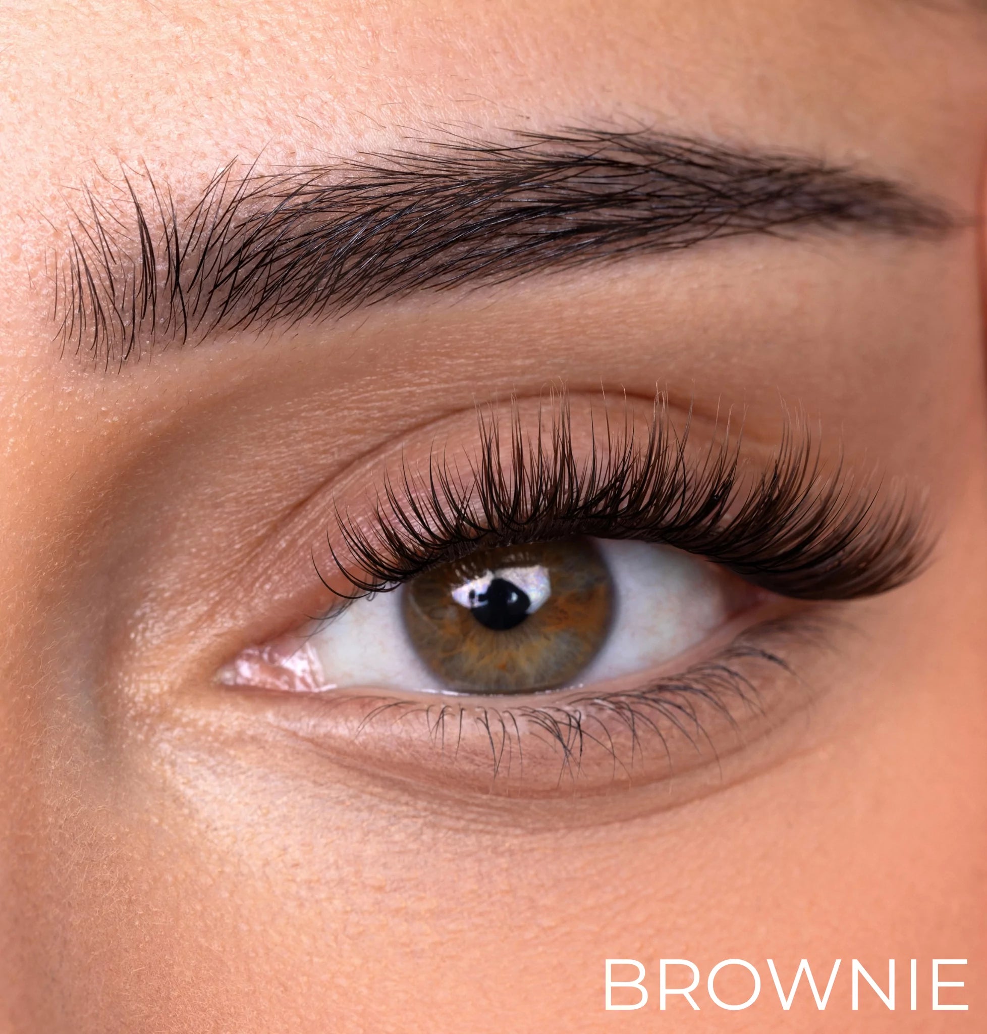 Brown Cluster Lashes Set
