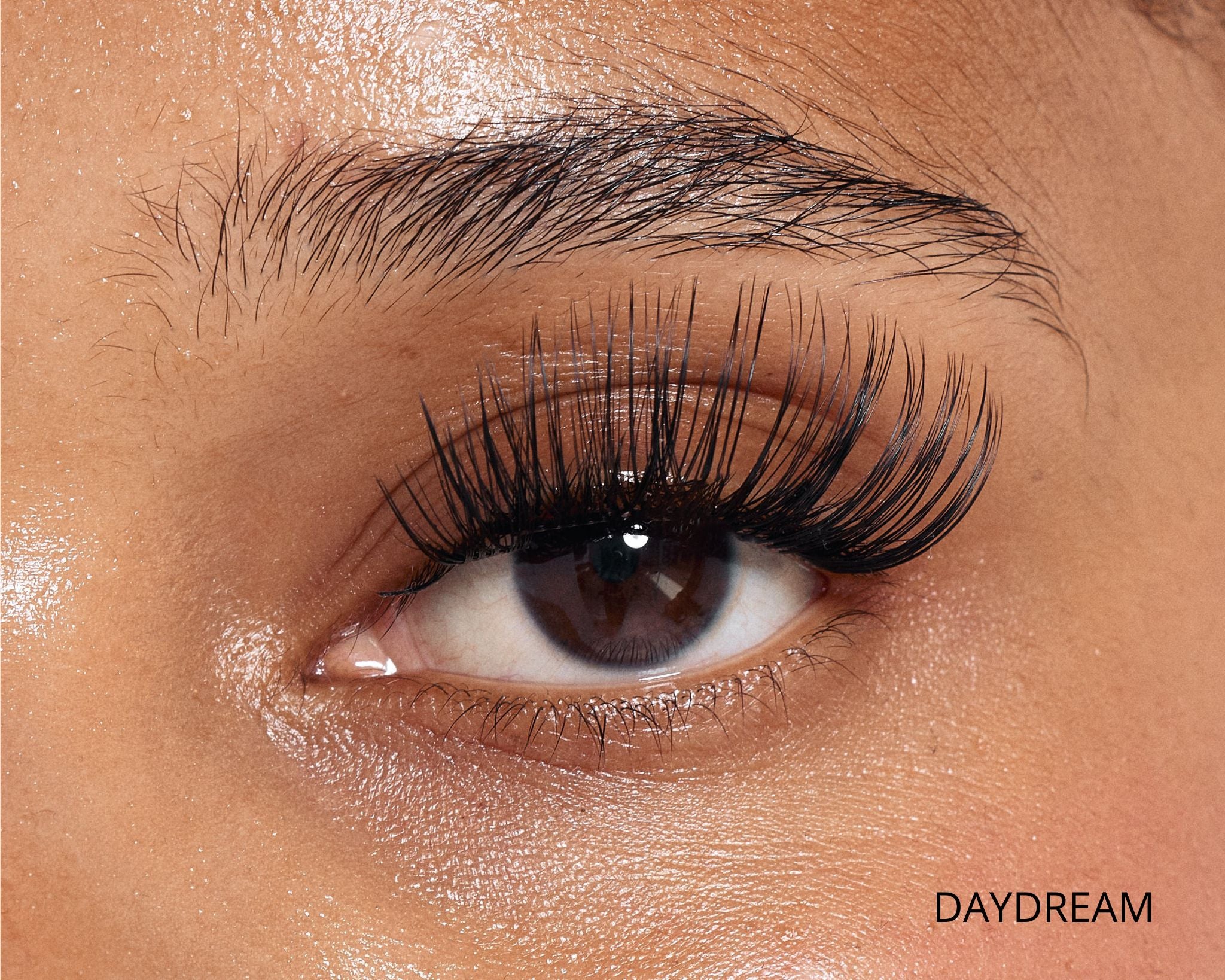 Dream Lash Starter Kit