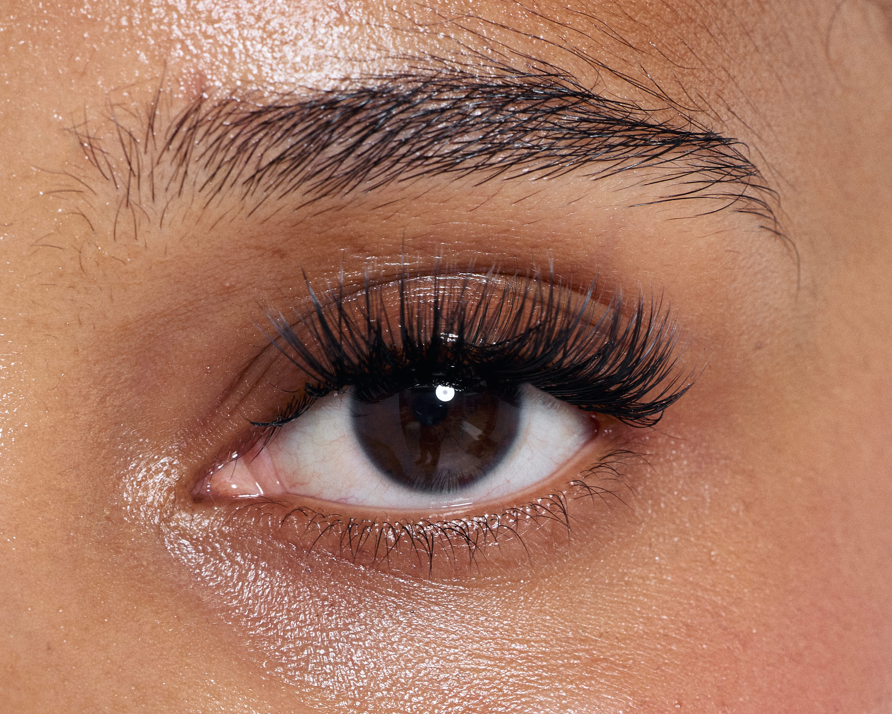 VELVET DREAM - Custom Dream Lashes