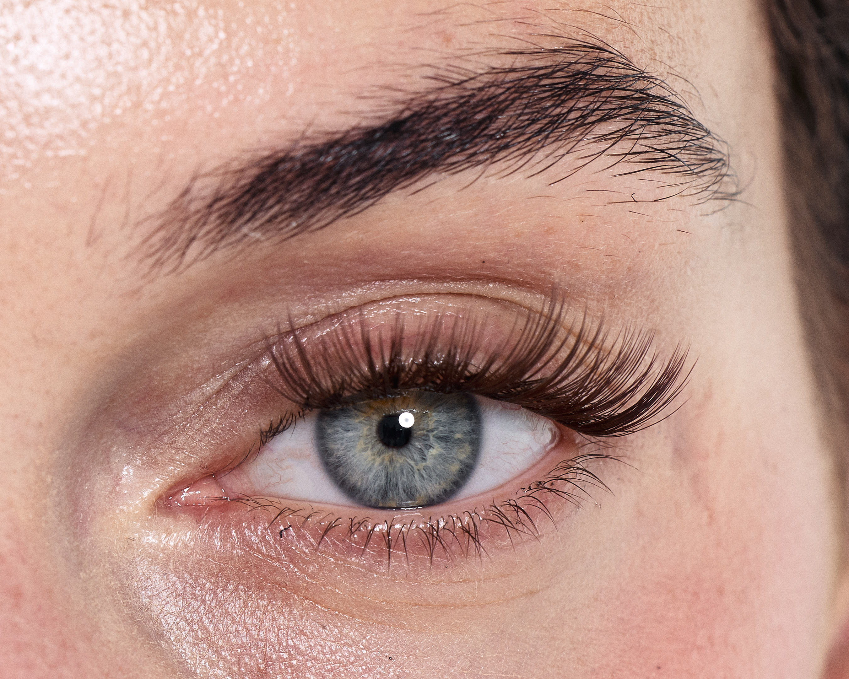 LOVELY ESPRESSO - Dream Lash Cluster (Brown Collection)