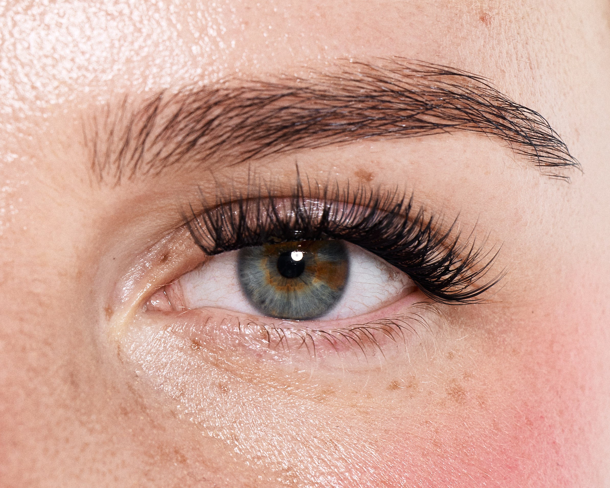 DREAMER - Dream Lashes