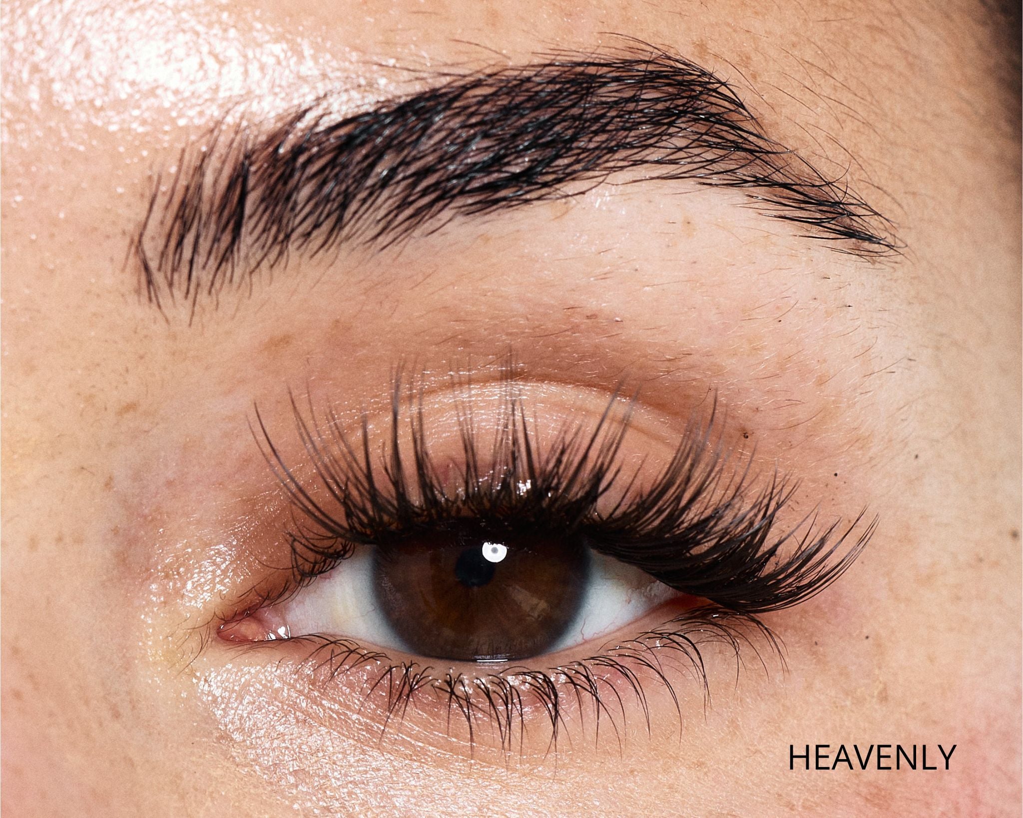 Dream Lash Starter Kit