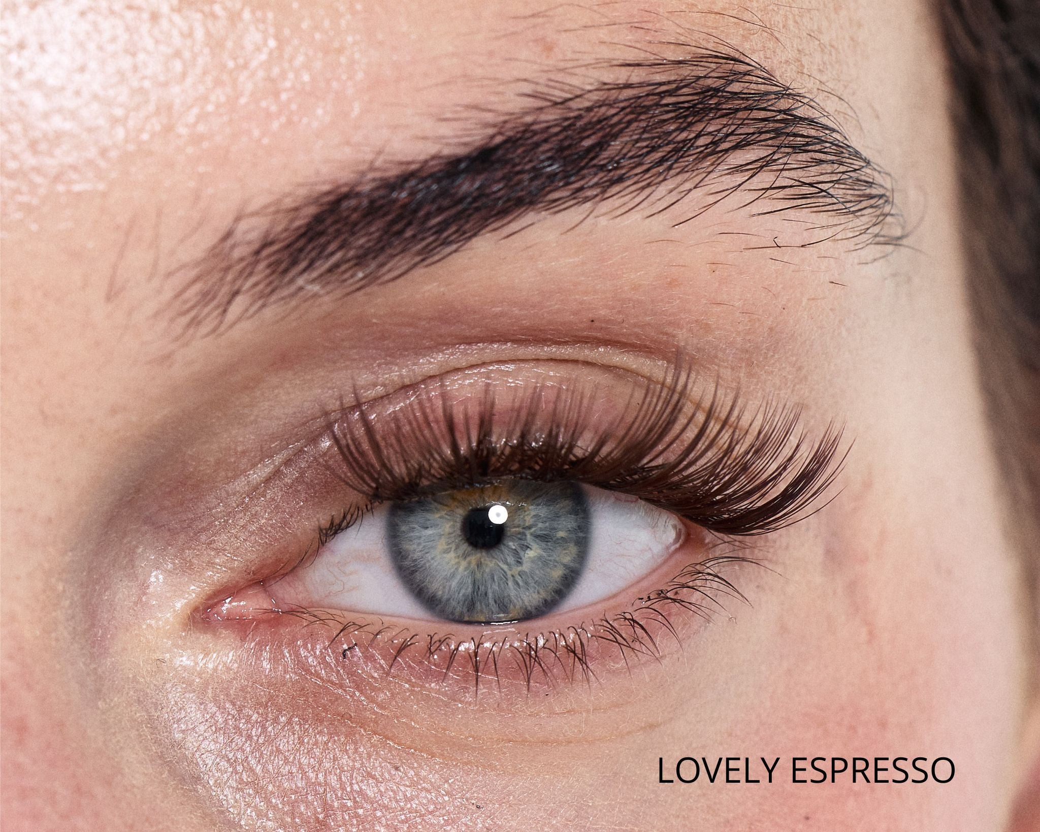 Brown Cluster Lashes Set