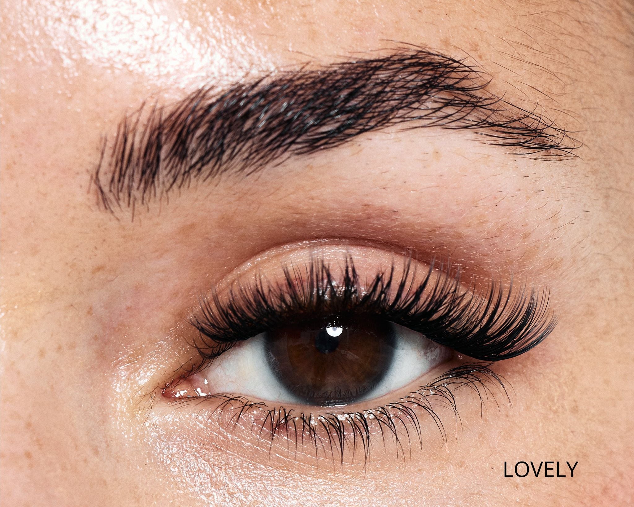 Dream Lash Cluster Starter Kit