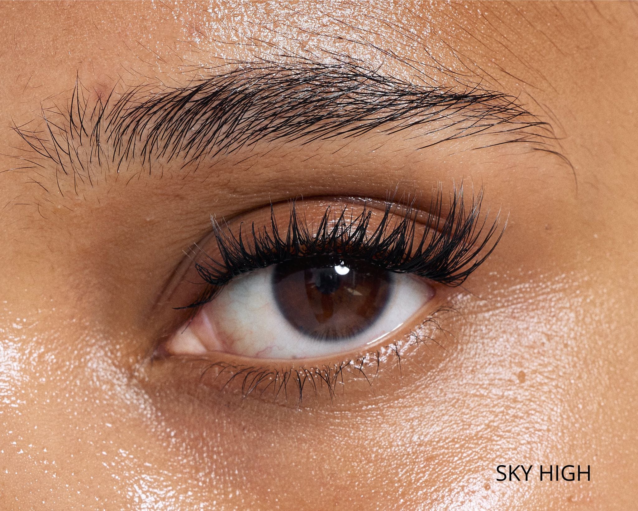 Dream Lash Cluster Starter Kit