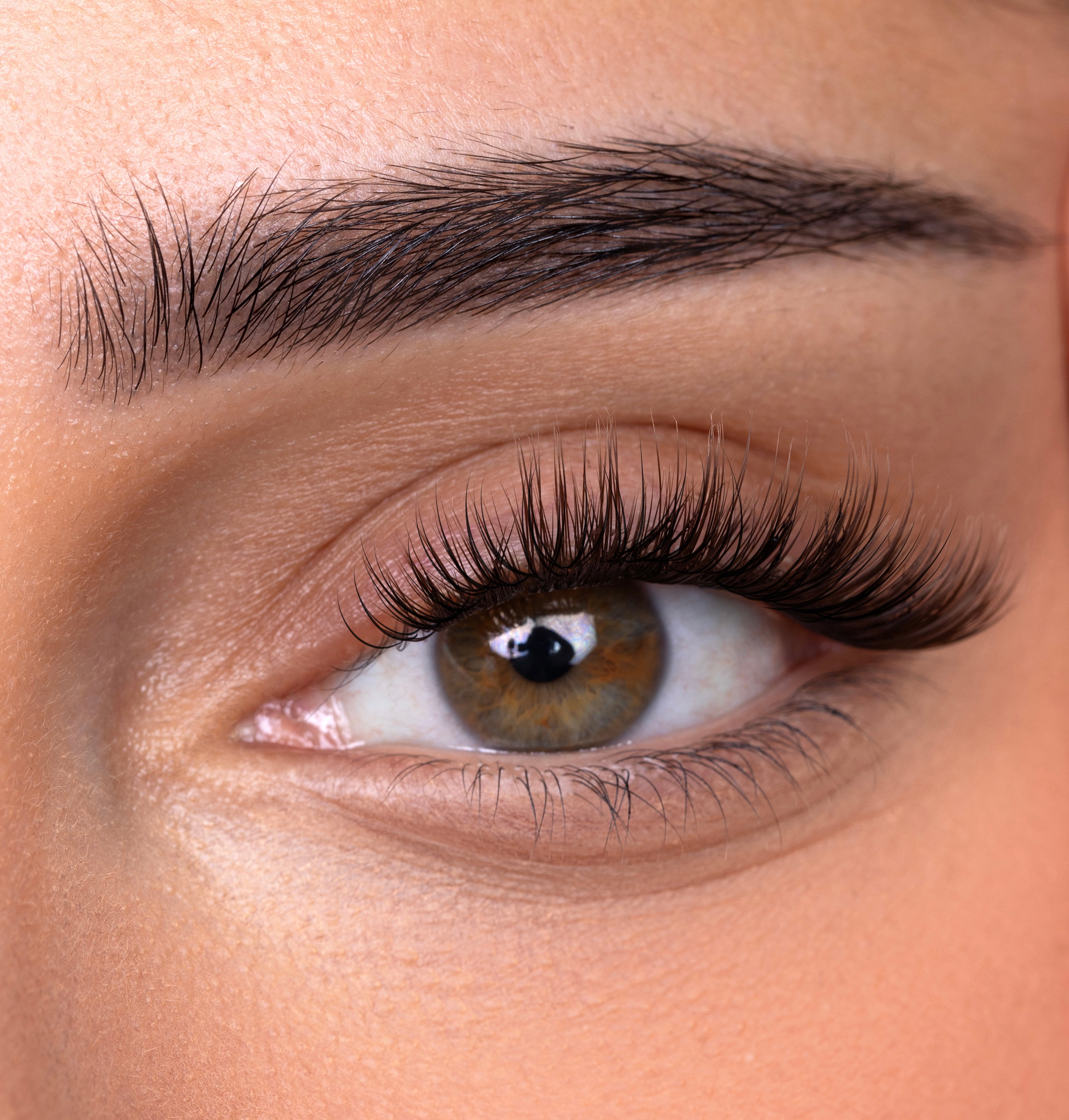 BROWNIE – Dream Lash Clusters (Brown Collection)