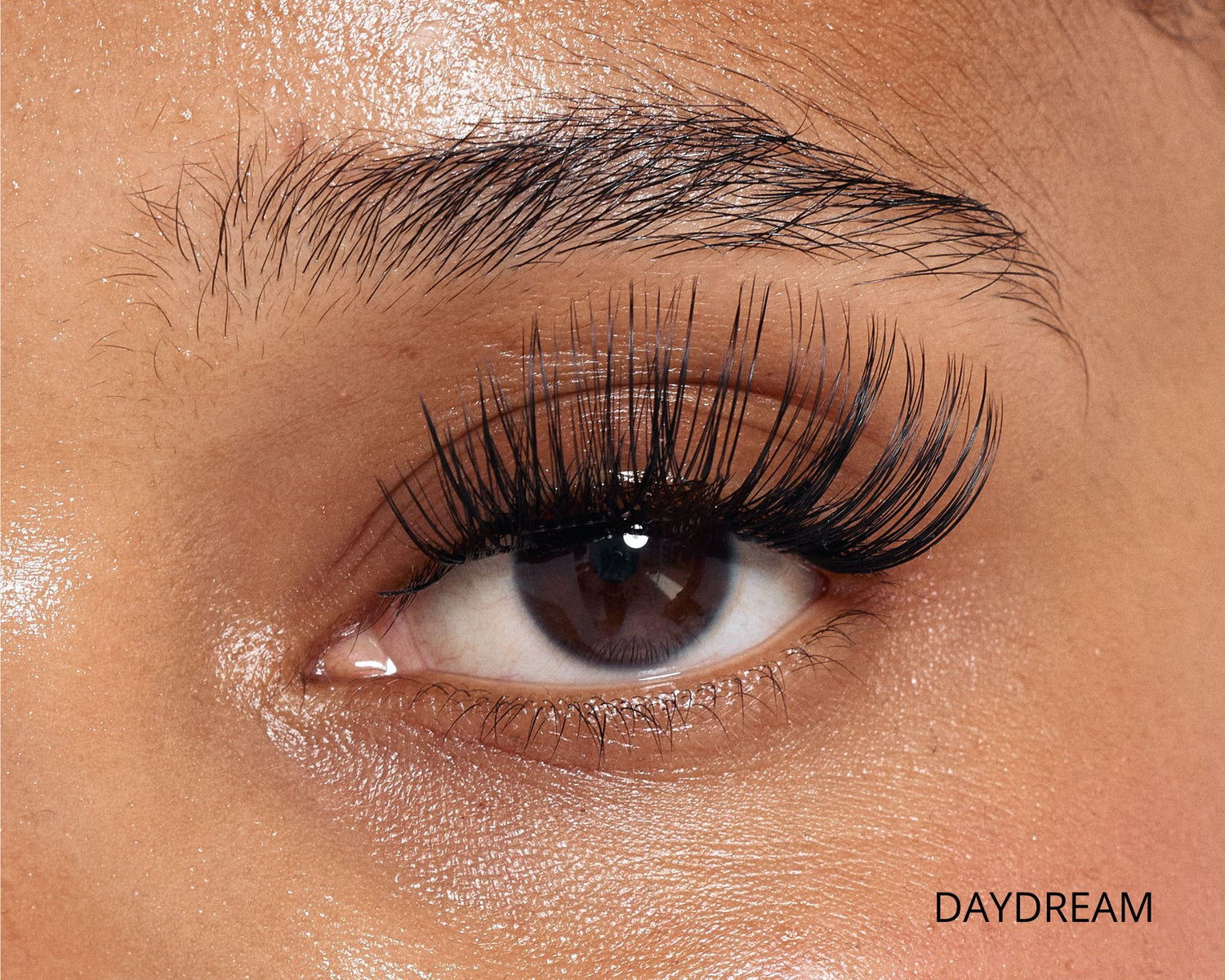 Dream Lash Starter Kit