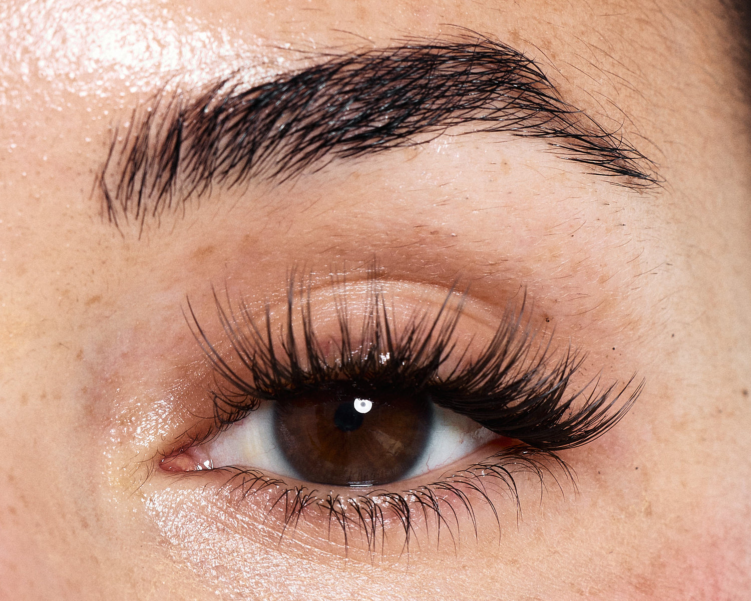HEAVENLY - Dream Lashes