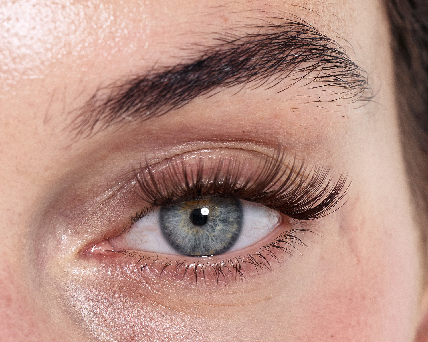 LOVELY ESPRESSO - Dream Lash Cluster (Brown Collection)