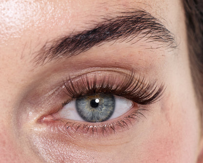 LOVELY ESPRESSO - Dream Lash Cluster (Brown Collection)