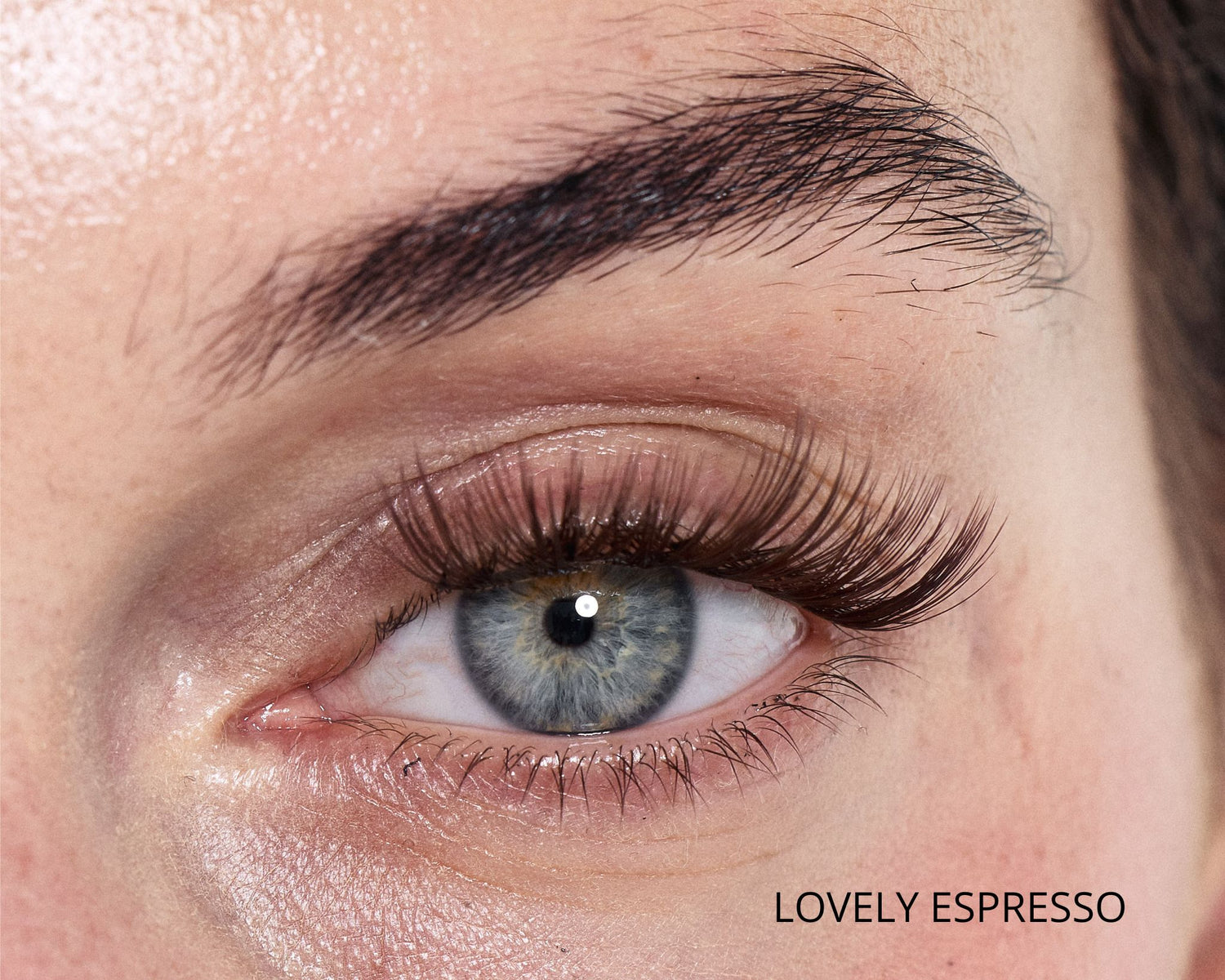 Brown Cluster Lashes Set