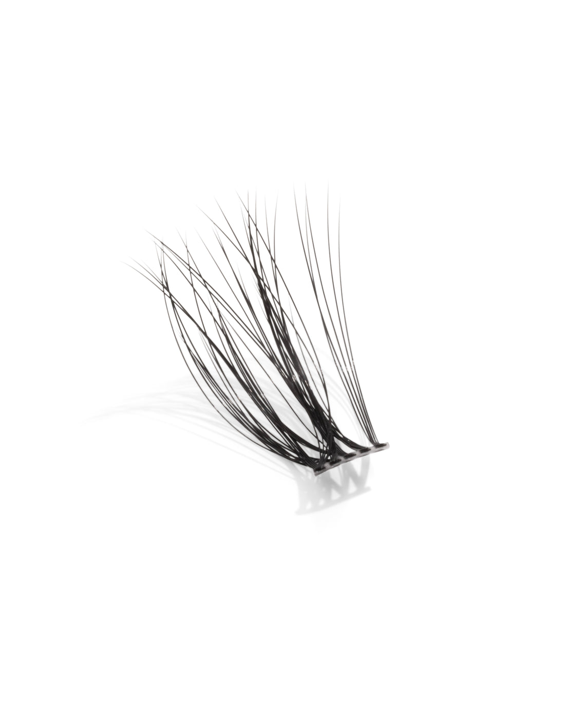 DAYDREAM - Dream Lashes