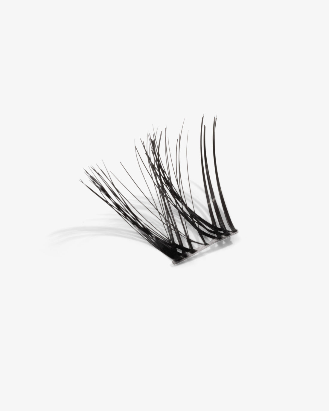 AURORA - Dream Lashes