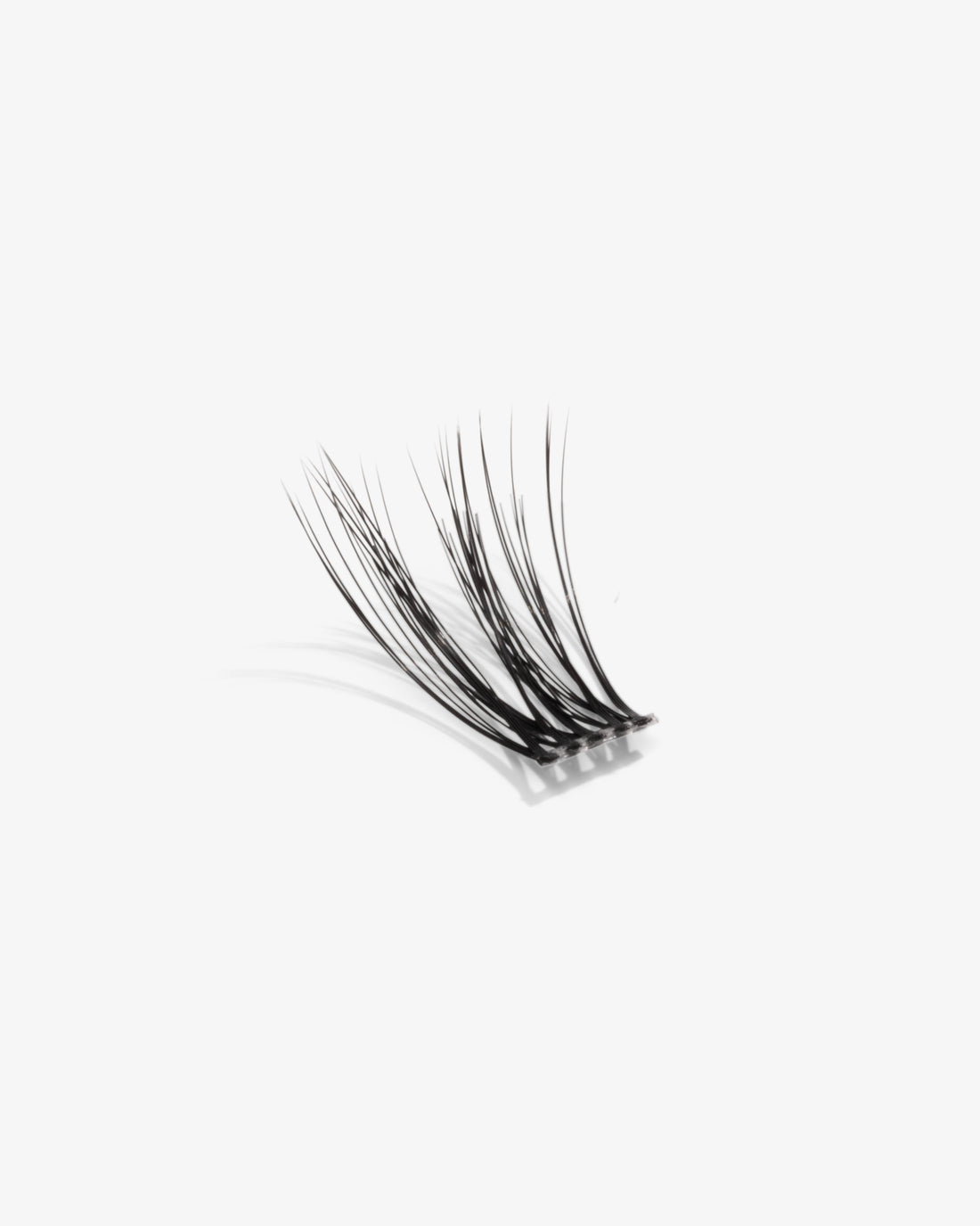 FAIRY - Dream Lashes