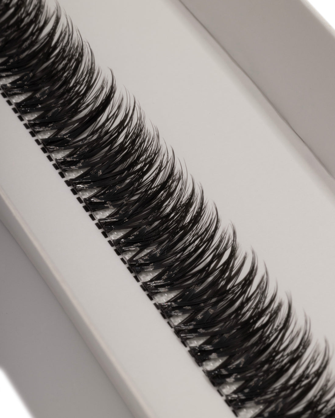 GLOWY - Custom Dream Lashes