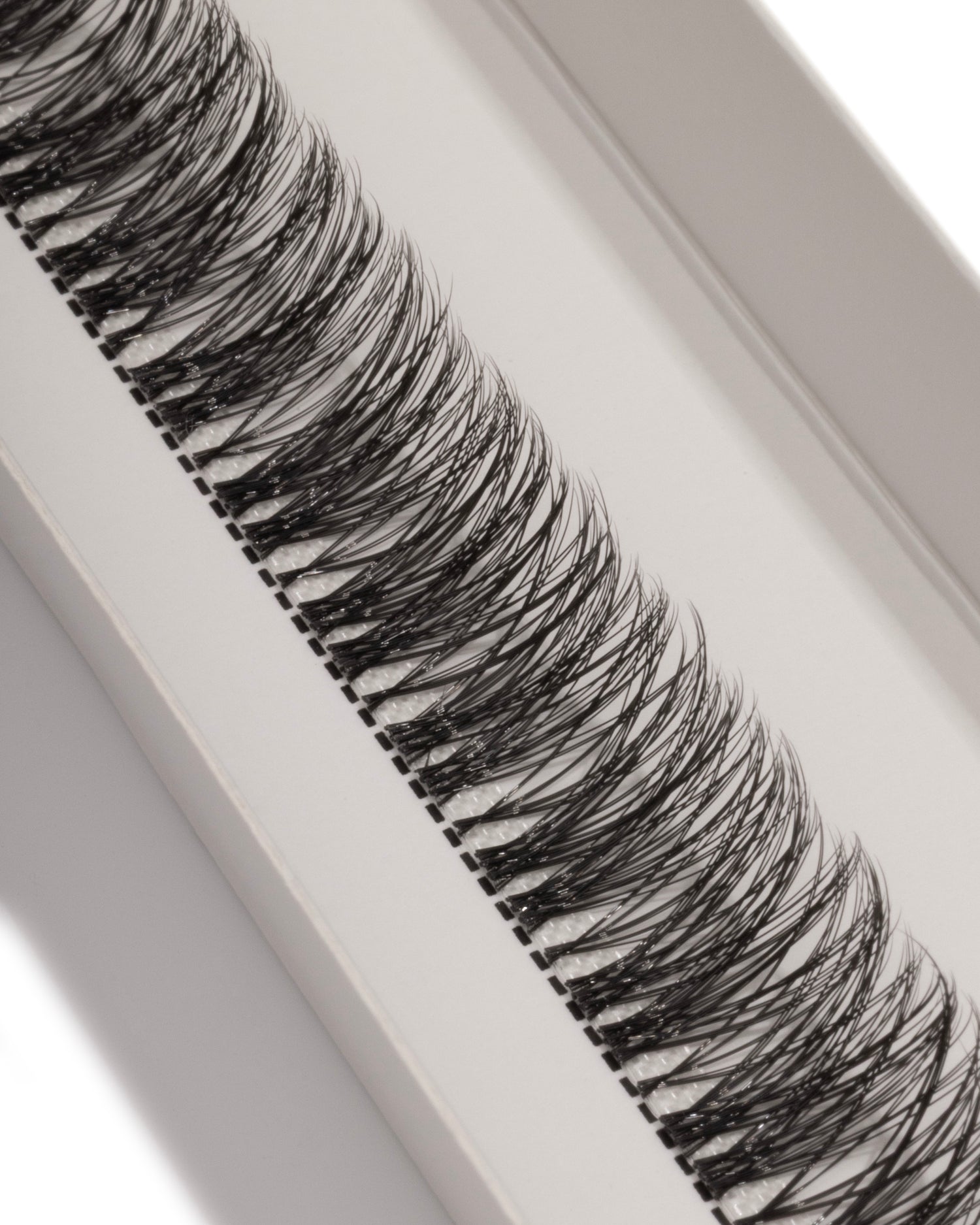 VELVET DREAM - Custom Dream Lashes