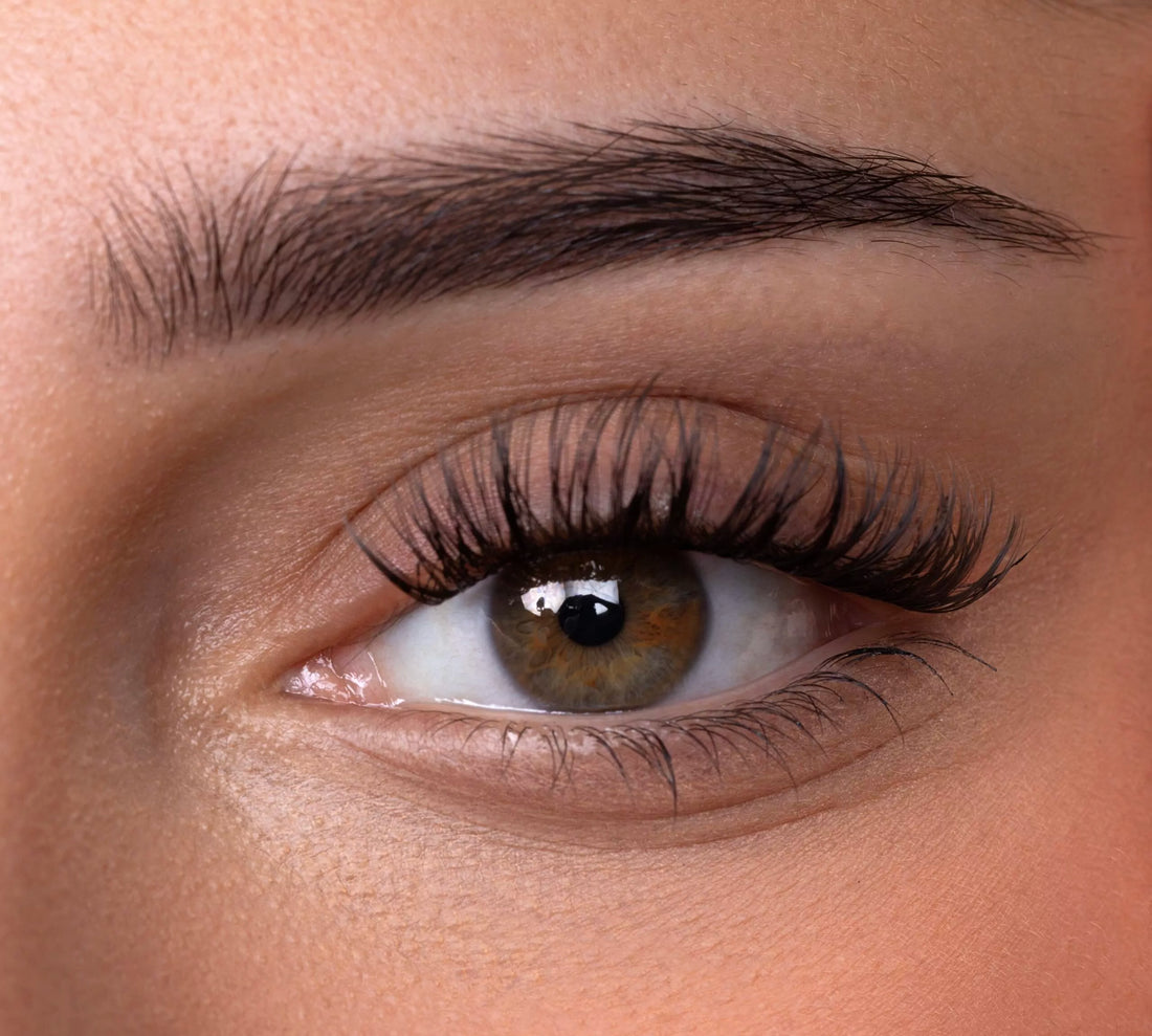 SARA – Dream Lashes