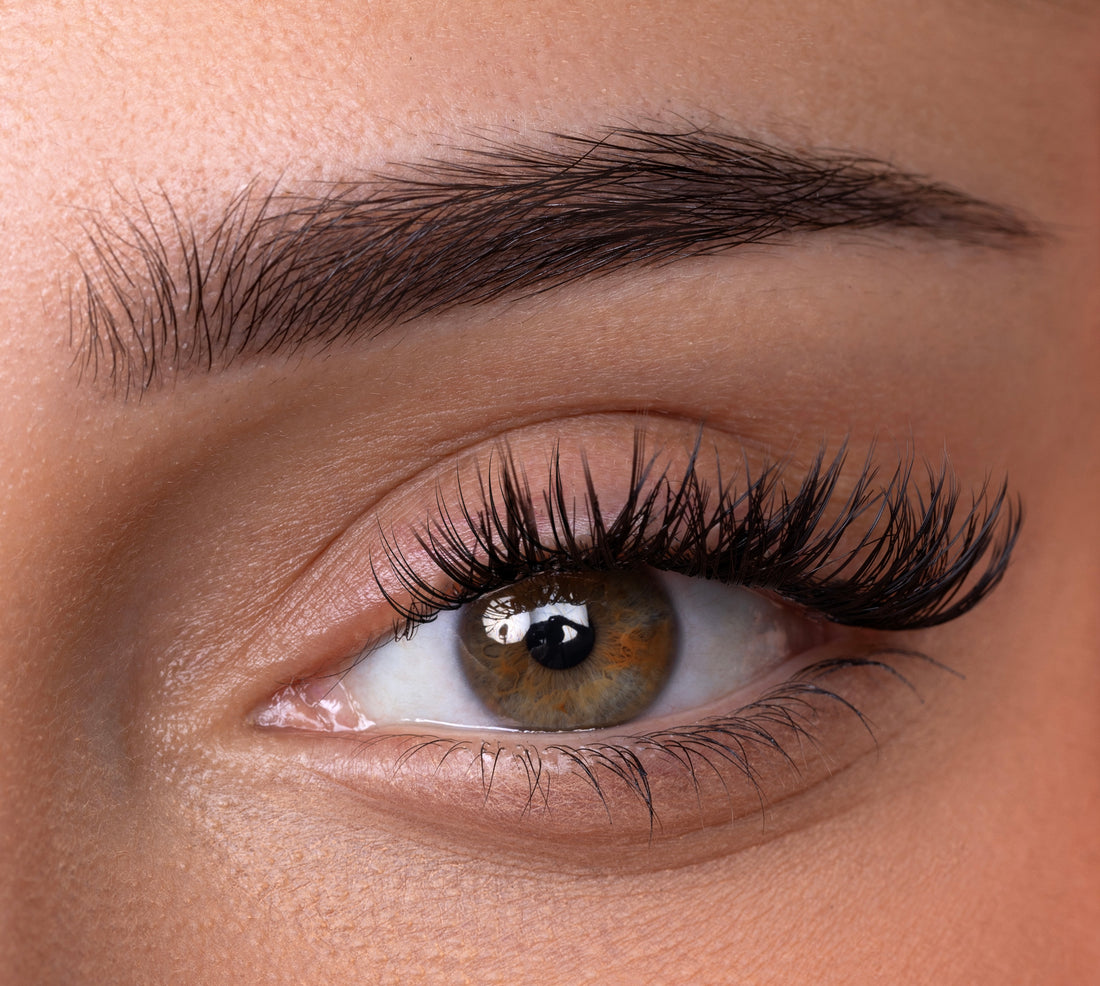 BAMBI – Dream Lashes